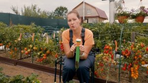 Реальный отзыв отпугивателя кротов Антикрот чистон