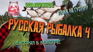 РУССКАЯ РЫБАЛКА 4🎣 КОМАРИНОЕ🎣 ГУСТЕРА ИДЁТ ПАЧКАМИ🐟 ЗАСТРЯЛ В БОЛОТЕ😲