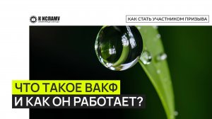 Что такое ВАКФ и как он работает? Ринат Абу Мухаммад