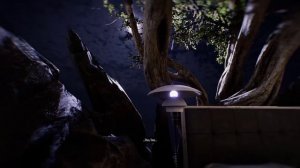 The Lies We Tell Ourselves