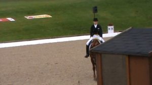 ЧЕ среди юношей и юниоров. Брохольм 2011. ЛПЮ.