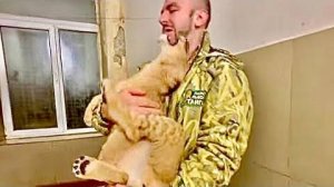 Мы с мамой пришли к львице Кукле и ее подружке, это вам не ЛЬВЯТА-МАЛЫШИ)))