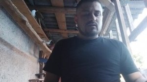 как выкормить голубей от  первого дня до вылета самому...