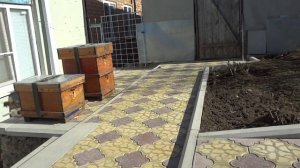 зимовка пчел в сарае удачный  эксперимент