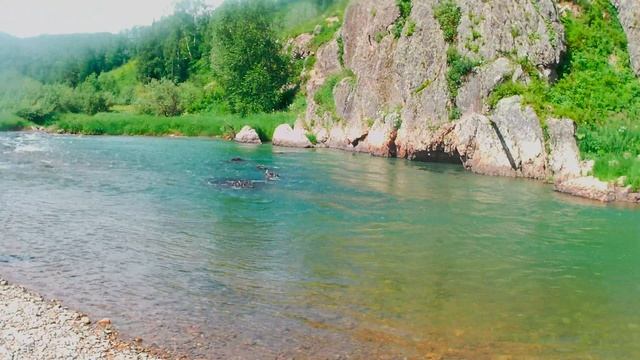 Риддер. Рыбалка на хариуса на Черной и Белой Убе