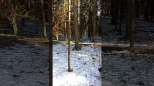 Реальные единоборства. Что такое уличная драка.