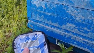 весы гарант для пчеловодства на 300кг