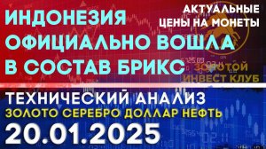 Индонезия официально вошла в состав БРИКС. Анализ рынка золота, серебра, нефти, доллара 20.01.2025 г