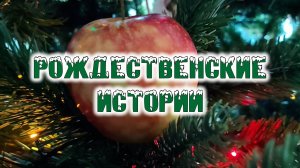 Рождественские истории (2 дубль)