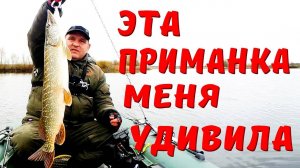 Щука на раттлин. Китайский раттлин меня удивил. Ловля щуки на спиннинг.