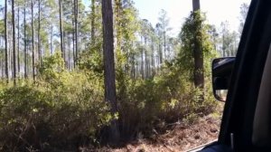 В хозяйстве Барри Харта, промышленного пчеловода из Джорджии (США)