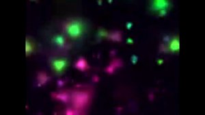 Student -Bebemos, cantamos y amamos (Пьём, поём и любим) Spanish guitar