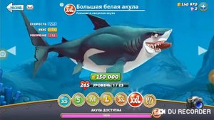 Купил большую белую акулу в Hungry Shark World