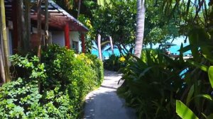Baan Chaweng Beach Resort & Spa in Ko Samui , from the room to beach(Pivothead SMART)