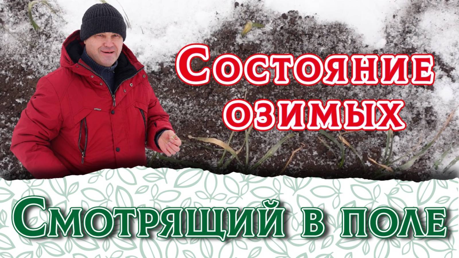 Как помочь озимым? Важно знать агрономам. БашИнком, Владислав Сергеев