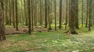 Памятка начинающему туристу. Личность руководителя похода