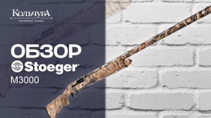 Обзор полуавтоматического ружья Stoeger M3000