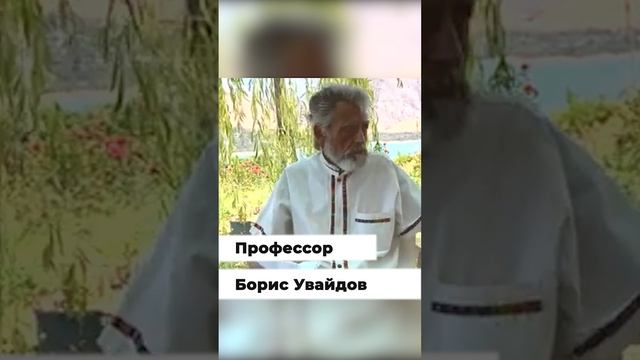 Путь выздоровления