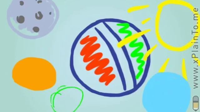 Круг смотреть онлайн