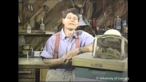 Год жизни молодой пасеки: итоги и выводы (Университет Джорджии, США)