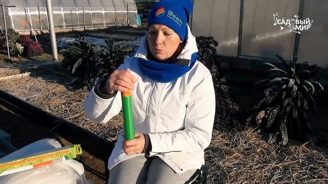 Кроты медведки карбыши легко изгонит Чистон 3