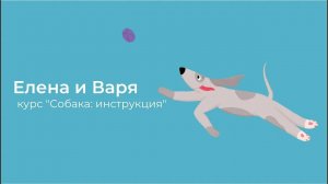 Видео отзыв, курс Собака инструкция по применению, 15 поток, Елена