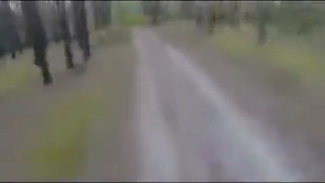 Медведь разозлился на Америкоса. смотреть онлайн