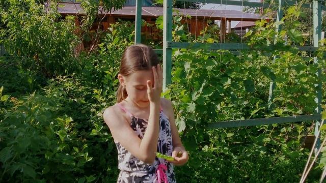 Переделка старой дачи. Часть вторая. Кухня.