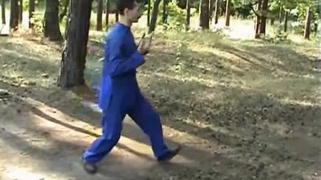 Тайцзицюань стиль Ян. Тао 48 движений рук.