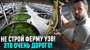 НЕ НАЧИНАЙТЕ РЫБОВОДНЫЙ БИЗНЕС! Пока Не Посмотрите Это Видео...