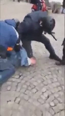 европолиДЗай бьёт еврояйцо (голову жёлтого жилета)
