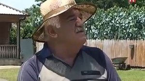 В Очамчирском районе участились случаи нападения шакалов на людей