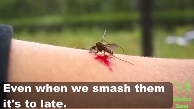 Best Mosquitoes Repellent Bracelets in 2019
