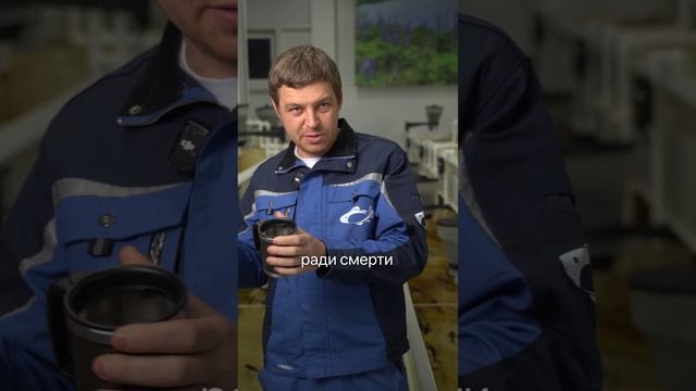 Откуда берется черная икра?  #рыба #икра #белуга #бизнесидеи #бизнес #рыбоводство #бизнесснуля