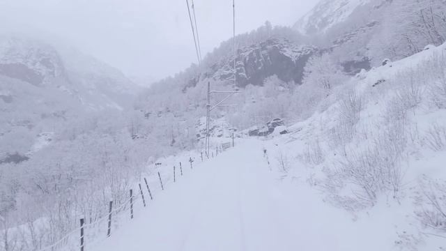 ВИД С КАБИНЫ УПРАВЛЕНИЯ ПОЕЗДОМ 🚂: Прекрасный зимний день на линии, ❄️ без рекламы