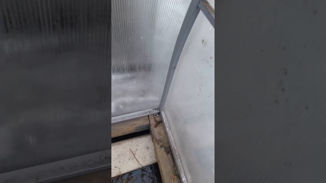 Теплица Алмаз усиленная: видеообзор смотреть онлайн