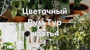 цветочный Рум Тур ч4