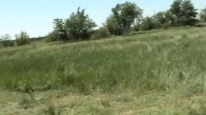 стоим на гречке