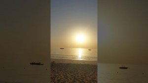 Fujairah Rotana Resort experience.