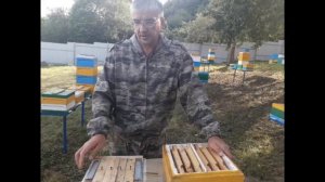 нуклеусы сравнение