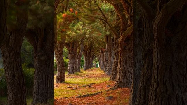 ДДТ Новое сердце смотреть онлайн