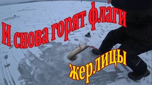 Зима. Волга. Жерлицы.