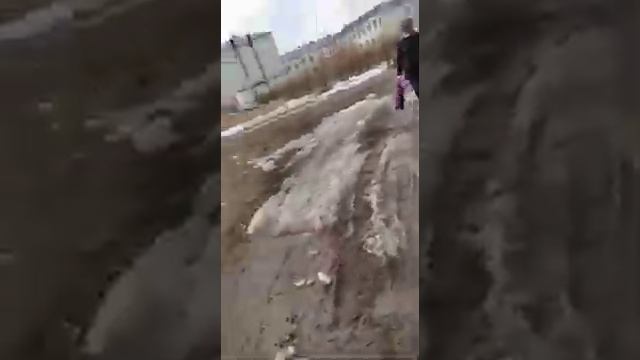 Продолжение 2 части "Как выжить за ноль рублей" смотреть онлайн