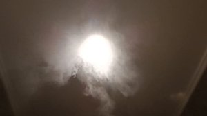 ALARCHA HOTELS & RESORTS 5* новый обзор отеля 2022 отель с аквапарком и галечным пляжем Сиде Аланья