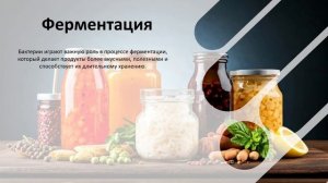 УРОК 21 | 7 класс. Роль бактерий в природе и жизни человек