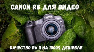 Обзор canon r8 для видео