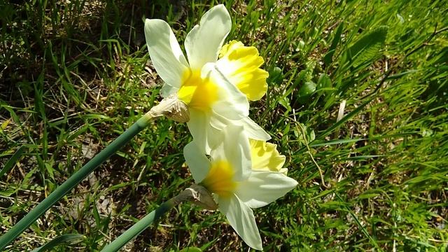 Весна пришла на КМВ. смотреть онлайн