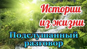 Истории из жизни. Жена подслушала разговор мужа и его друга, от услышанного она опешила