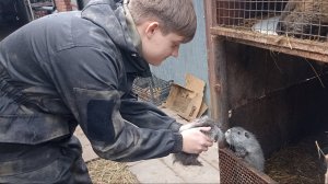 Каникулы! ИЛЬЯ поиграл с НУТРЯТАМИ, покормил УТОК. 27.12.24