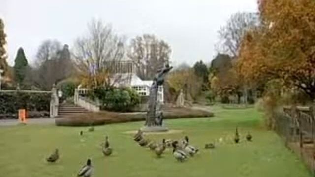 Proposals requested from artists for Botanic Gardens sculpture смотреть онлайн